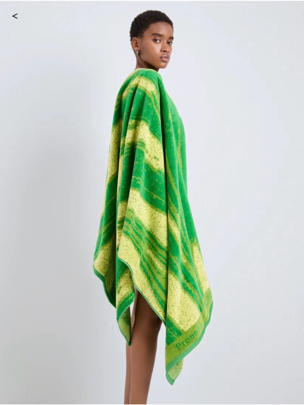 Proenza Schouler Green beach towel